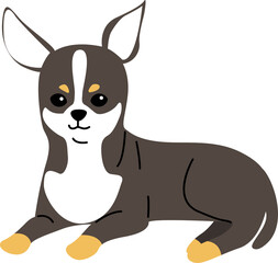 chihuahua illustration