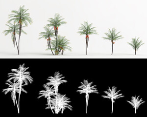 3d illustration of set Bactris gasipaes tree isolated on white and its mask