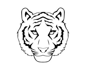 tiger head lineart