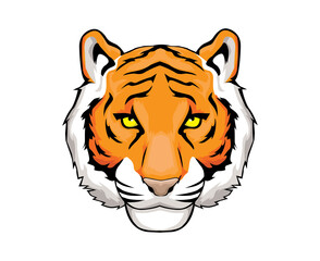 Fototapeta premium tiger head vector