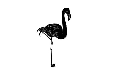 pink flamingo silhouette