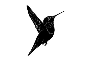 Hummingbird silhouette