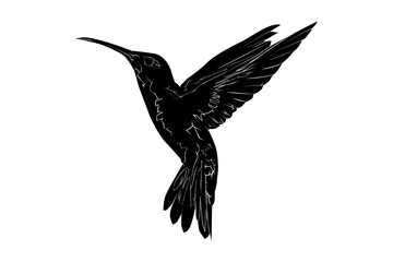 Hummingbird silhouette