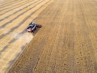 Combines mow wheat in the field.Agro-industry.Combine Harvester Cutting on wheat field.Machine harvest wheat.Harvesting of grain crops.Harvesting wheat,oats and barley in fields,ranches and farmlands