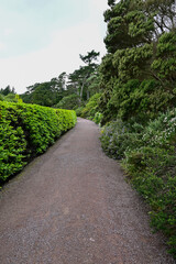 Fototapeta na wymiar Botanischer Garten Inverewe Garden, bei Poolewe, Achnasheen, Highland, Schottland