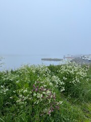 Foggy landscape background, mist