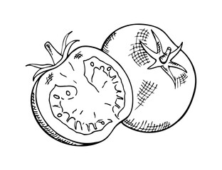 composition of whole and half-cut tomatoes, hand-drawn with hatching
