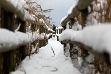 Naklejka premium Wooden path through reeded thickets on the lake covered with snow. Winter scenery. Selective focus