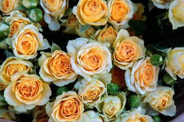 Fototapeta na wymiar A bouquet of beautiful pale yellow roses. Selective focus
