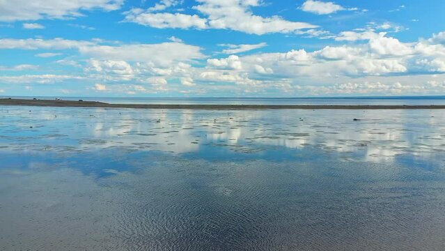 Aerial drone video, at low altitude, approaching the herons on the shore at the Parc de la Grande Envol&eacute;e in Carleton sur mer in the Baie des Chaleurs in Gaspesie