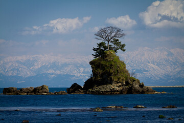 Fototapeta na wymiar 冬の雨晴海岸から日本海越しの雪を被った冬の立山連峰