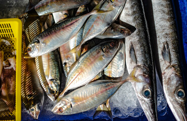 Fresh sea fish just off the boat frozen in ice for sale in the Ban Na Kluea market, Pattaya, Thailand