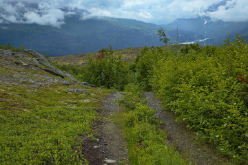 Fototapeta na wymiar Landscape at Thompson Pass in Chugach Mountains in Alaska, United States,North America 