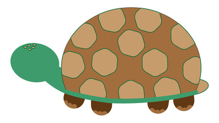 green turtle for child 
