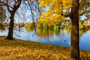 Fototapeta na wymiar Grand pond in autumn in Catherine park, Pushkin, Saint Petersburg, Russia