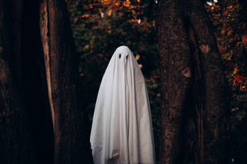 Ghost standing between trees in forest during Halloween
