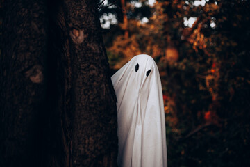 Ghost standing behind the tree in forest during Halloween