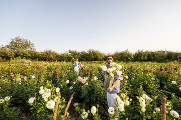 Stylish man and a woman pick up dahlia flowers while working at rural flower farm on sunset....