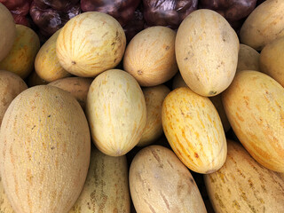 Ripe melon, honey melon, close-up.