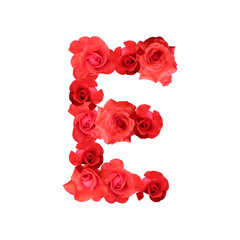 Letter E. Letter of roses buds and flowers design.

