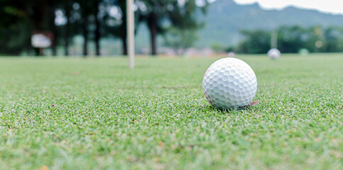 golf ball on green grass