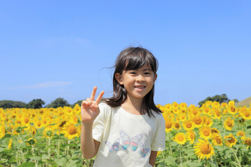 女子小学生 (7歳)とひまわり畑