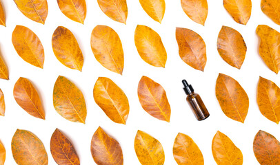 Naklejka na ściany i meble top view glass bottle dropper oil serum with flat lay autumn leaves pattern white background.concept idea for cosmetic beauty care,medicine,makeup skin nutural product.