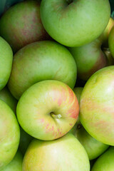 Fresh picked bushel ofhoneycrisp