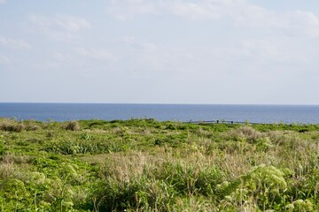 Seascape of Miyako Island seen from the plaza and cape where plants spread