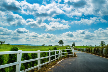 On the clear blue ranch road