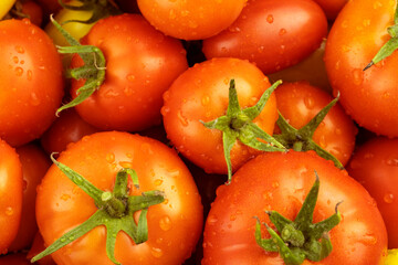 Ripe tomatoes with drops of water and green leaves, close-up.