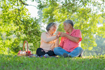 Naklejka na ściany i meble Happy old elderly couple spouses relaxing and sitting on a blanket in the park and sharing few precious memories. Senior couple having great time together on a picnic. concept of mature relationships