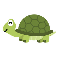  turtle wild  animal cartoon vector