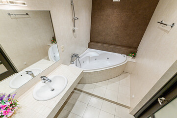 Russia, Moscow- May 21, 2020: interior apartment room bathroom, sink, decorative elements, toilet