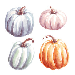 Pumpkins. Watercolor clipart