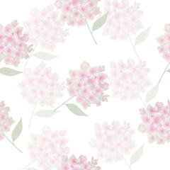 hydrangea illustration pattern vector floral flowers