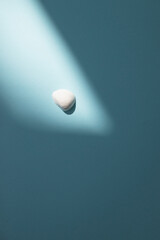 plaster figure of a shell on a blue background