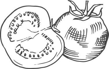 Tomato engraving. Whole and half salad fruit sketch