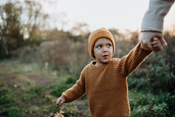 Portrait of cute little boy wearing knitted sweater in nautre, autumn concept.