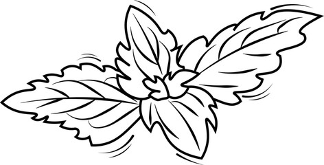 black and white mint illustration