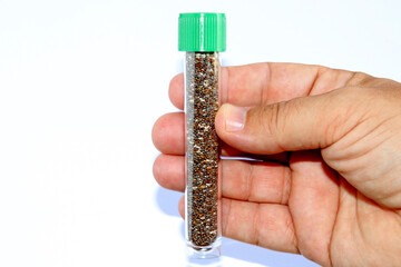 A hand with a glass tube containing Chia seeds