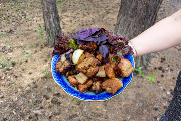 Fried shish kebab in a bowl