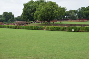 Green meadows in the valley