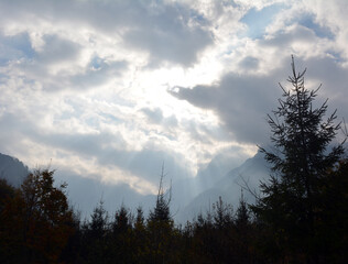 Heavenly sunbeams in the mountain forest