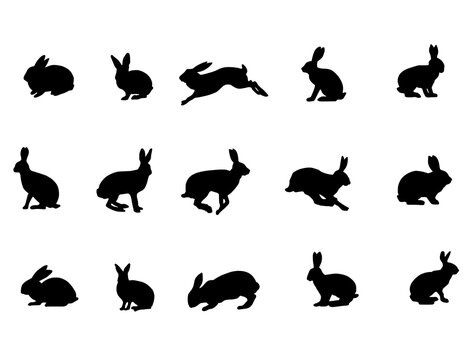 Set of rabbits silhouettes vector