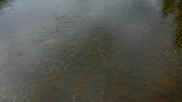 Aerial drone video, filming the translucent water of the Matane River and revealing the landscape surrounding the river