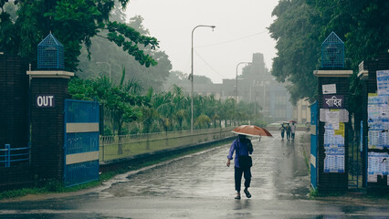 person walking in rainy day with umbrella 