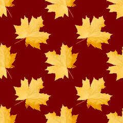 Naklejka na ściany i meble Seamless pattern with yellow maple leaves on a brown background. Autumn pattern with leaves for print