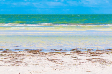 Beautiful Holbox island beach sandbank panorama turquoise water waves Mexico.