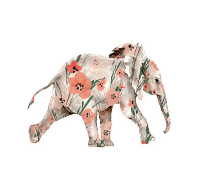 watercolor illustration of an elephant with a floral print. hand painting .
